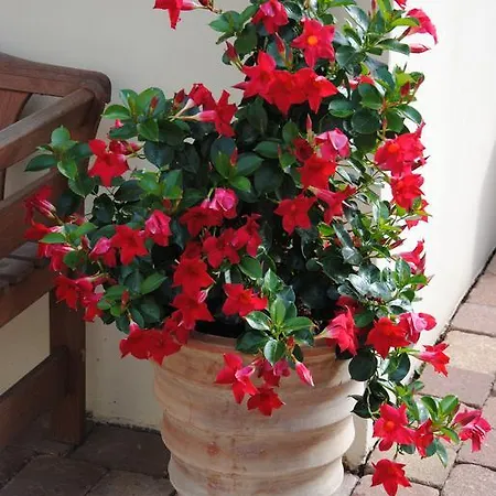 Glueck Im Kohlenpott *