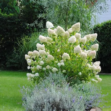 Glueck Im Kohlenpott Διαμέρισμα *