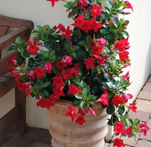 Glueck Im Kohlenpott *