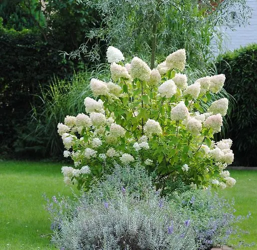 Glück Im Kohlenpott Apartamento *